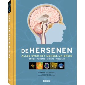 De hersenen