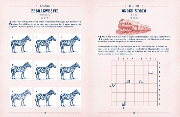 Reis om de wereld Puzzelboek
