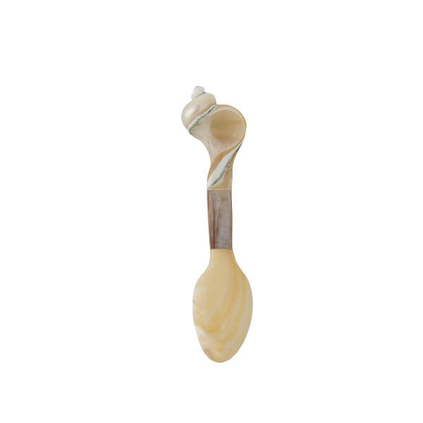 Schelpen lepel set van 2