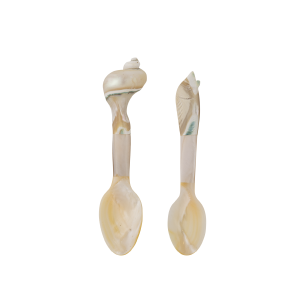 Schelpen lepel set van 2