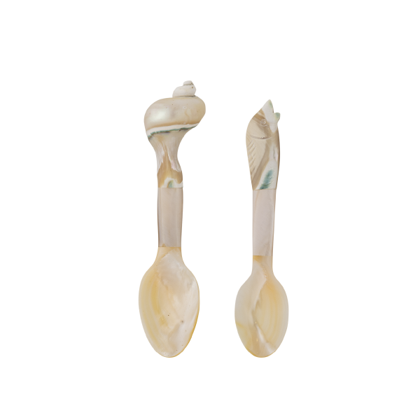 Schelpen lepel set van 2